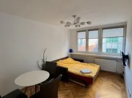 Śliska Central Location, high standard