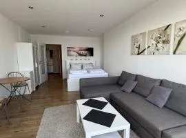 Penthousewohnung mit traumhaften Ausbilck auf den Segeberger See