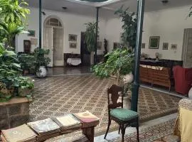 Casa rosa 4