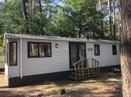 Premium chalet in the Antwerp Kempen
