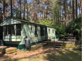 Scenic chalet in Antwerp tranquil forest
