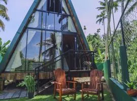 Sparrow's House