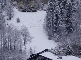 Hotel Wildrose – hotel w mieście Neukirchen am Großvenediger
