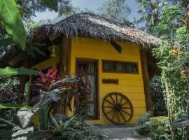 Forest Camp