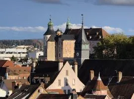 50m2 vue sur le château