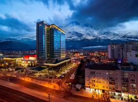 Radisson Blu Hotel, Kayseri, hotel v destinácii Kayseri