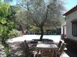Los Olivos