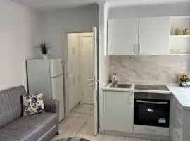 Apartament Ultracentral