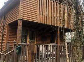 Cat's Cabin by the River