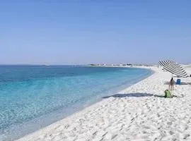 La Conchiglia sul Mare