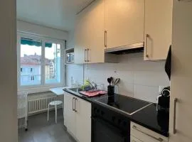 Standing Apartment in Ouchy - Lausanne
