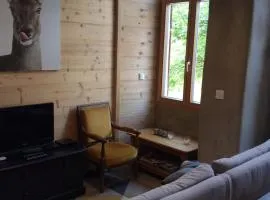 Huez village beautiful apartment