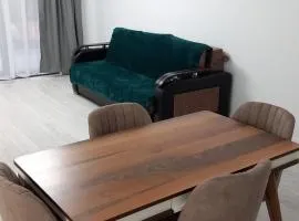 Apartament de lux Pipera