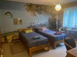 Beachroom 19m2 with mountain view