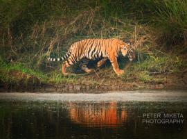 Tiger Corner Inn Homestay