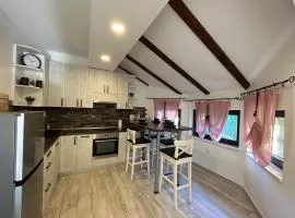 Apartman Lida