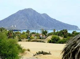 Ocotillo del Mar