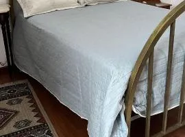 Rosa 7