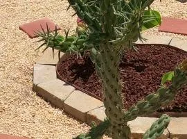 Ranch with Cactuses