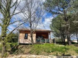 Chalet tous confort avec piscine lagon