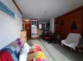 Appartement spacieux et lumineux, accès direct pistes, animaux acceptés - FR-1-445-17