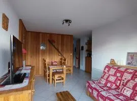 Appartement cosy à 20m des pistes, plein sud avec terrasse, pour 4 pers., parking couvert. - FR-1-445-168