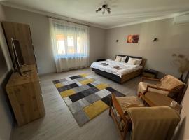 Kyuka House, vila v destinaci Arad
