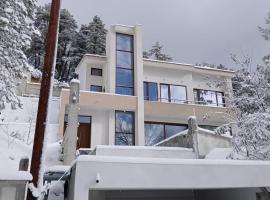 Mountain Villa in Prodromos with Fireplace & Sauna, hotel spa en Prodromos