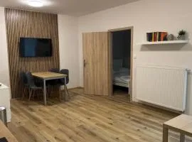 Apartment Urban Oasis