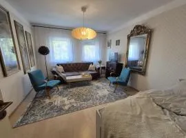 Amazing view of the river Donau