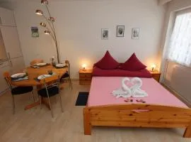Ferienwohnung Schwarzwald Oase - Todtmoos - Mein Schwarzwaldhäusle