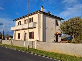 Rosignano Marittimo Rosa Bianca