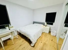 Spacious Room3, Airport, Free Pkg, Sep Entrance, New Reno, Shared bathroom