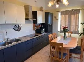 Apartma Metulj Koper - New