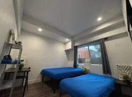 The Blue Hostel - Private Room