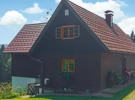 Ferienhaus In Trahütten