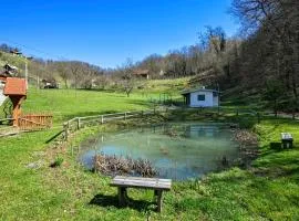 Lake Front Home In Andrasevec With Wifi