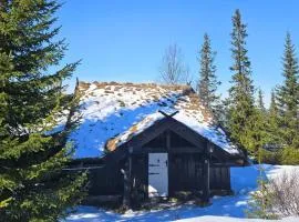Beautiful Home In Nesbyen With Sauna
