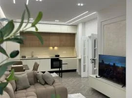 Luxury apartment