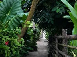 Tuason Inn at Tuason Point Surfing Spot, General Luna