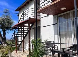 Vila Ari