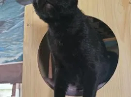 Paseo Del Mar Seaside Inn