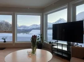 Mountain View apartment