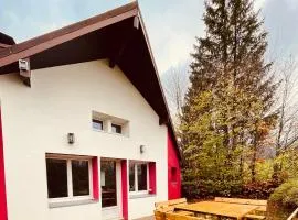 Chalet cosy entre lacs et montagnes