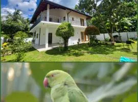 Parrot Paradise Negombo