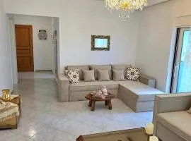 City Center Luxury Spacious apt A&M II