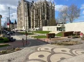 Iago city,appartement spacieux 2 chambres, hyper centre, aéroport et gare à proximité