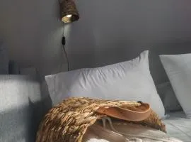 Brota na Lapa