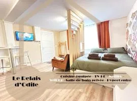 LeRelaisdOdile Studio - Le charme au cœur de ville - Ideal Couple & Travailleurs