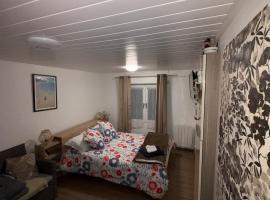 Charmant T1 au calme, hotel v destinaci Cernay
